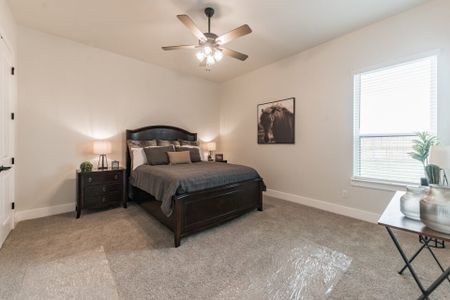 Eagle Heights by Carothers Executive Homes in Salado - photo 28 28