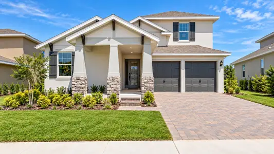 Hills of Minneola by Dream Finders Homes in Minneola - image 18