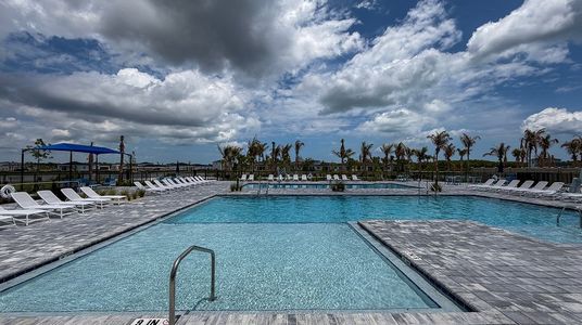 Seagrove: The Indies 25