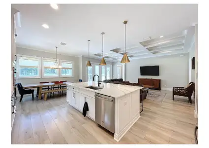 Sunset Estates by Mobley Homes in Lutz - image 7