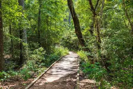 The Enclave at Spring Branch 3