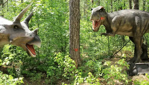 Lexington Woods South by Smith Douglas Homes in Fayetteville - image 20