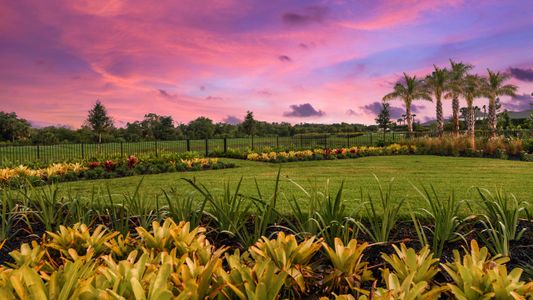 Cassia at Skye Ranch 90