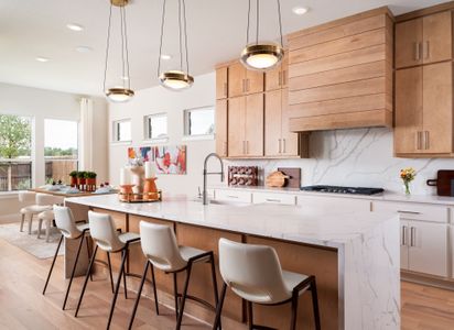 Santa Rita Ranch Saddleback by GFO Home in Liberty Hill - image 9