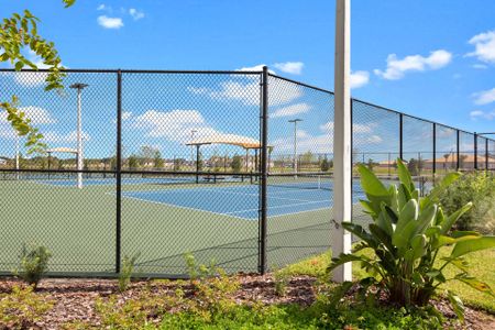 Waterset Classic Series by David Weekley Homes in Apollo Beach - photo 9 9