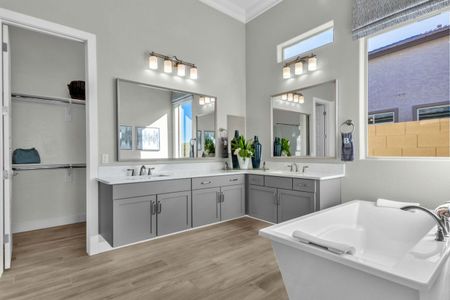 Reserve at Red Rock: Artisan Collection by Blandford Homes in Mesa - photo 20 20