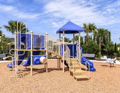 Windwater by Mattamy Homes in Parrish - image 17