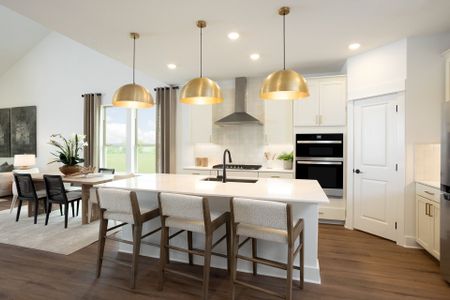La Cima by Pulte Homes in San Marcos - image 8