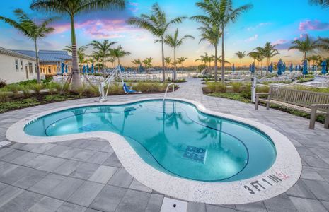 BeachWalk by Manasota Key by DiVosta in Englewood - image 19