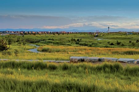 Central Park by Brookfield Residential in Denver - image