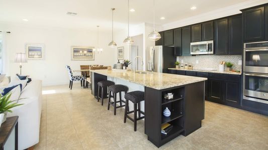 Savannah Station by Maronda Homes in Alachua - photo 25 25