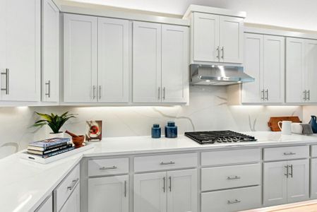 The Colony by Scott Felder Homes in Bastrop - photo 39 39