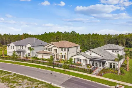Shortgrass at Two Rivers by M/I Homes in Zephyrhills - image 4
