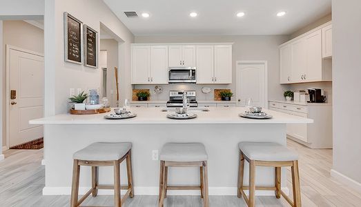 Lakeside Commons by Sunrise Homes in Plant City - image 6