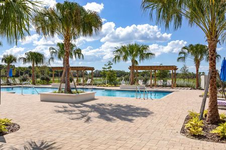 Waterset Garden Series by David Weekley Homes in Apollo Beach - photo 12 12