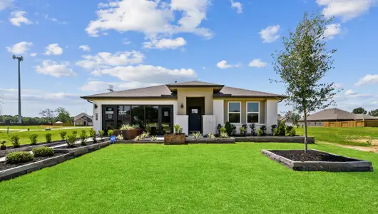 Trinity Oaks by D.R. Horton in Baytown - image