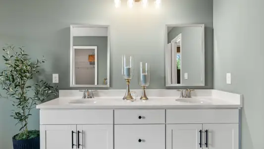 Hamptons at Riverwood by D.R. Horton in Dallas - photo 55 55