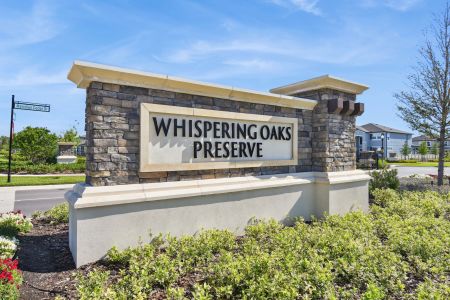 Whispering Oaks Preserve by M/I Homes in Wesley Chapel - photo 4 4