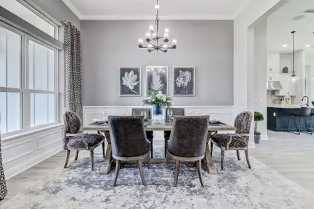 Edwards Creek Estates by SEDA New Homes in Jacksonville - image 5