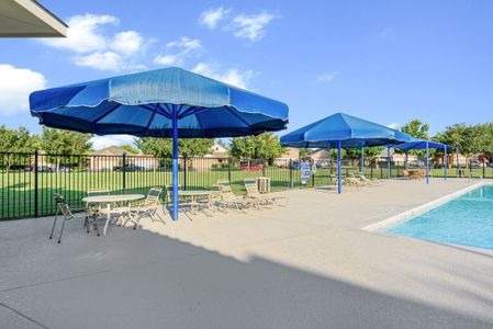 West Crossing by Bloomfield Homes in Anna - image 19