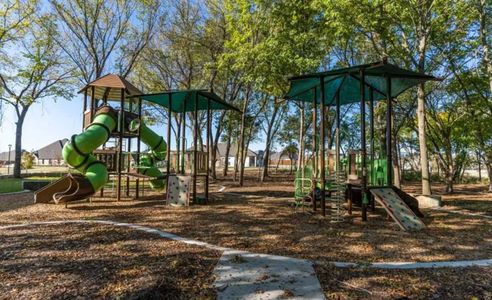 Mantua Point: 40ft. lots by Highland Homes in Van Alstyne - image 10