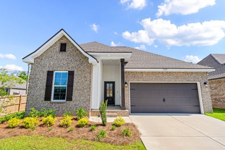 Eagle Pointe by DSLD Homes in Pensacola - image