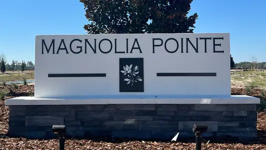 Magnolia Pointe by D.R. Horton in Umatilla - photo 1 1