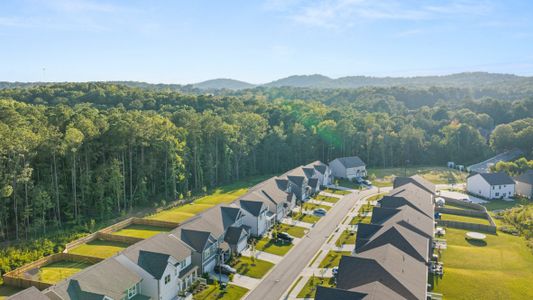 Hamptons at Riverwood South by D.R. Horton in Dallas - image
