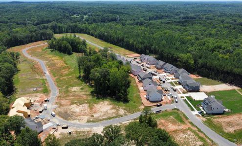 Rone Creek by Eastwood Homes in Waxhaw - photo 1 1