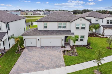 Hawthorne Ranch by M/I Homes in Lakeland - photo 15 15