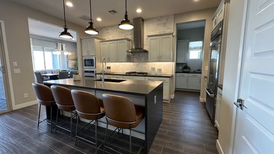 CantaMia at Estrella 55+ by Taylor Morrison in Goodyear - image 9