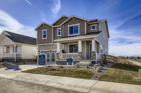 Trevenna by Dream Finders Homes in Windsor - image