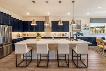 Abel Ranch by Tri Pointe Homes in Goodyear - image 5