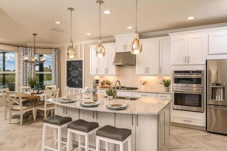 Eave's Bend at Artisan Lakes by Taylor Morrison in Palmetto - photo 51 51