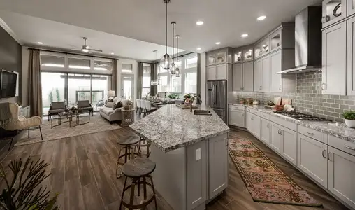 Union Park at Norterra by David Weekley Homes in Phoenix - photo 36 36