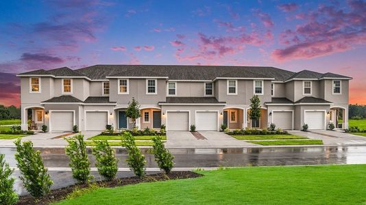 The Townhomes at River Landing by Taylor Morrison in Wesley Chapel - photo 14 14