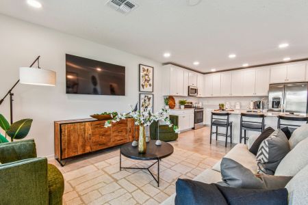 Berry Bay by M/I Homes in Wimauma - image 8