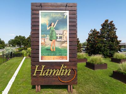 Hamlin Meadows by Dream Finders Homes in Winter Garden - image