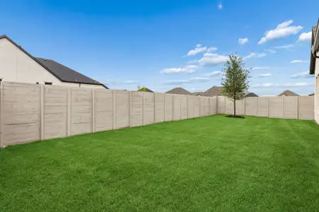 Painted Tree Woodland West by Centre Living Homes in McKinney - image 4