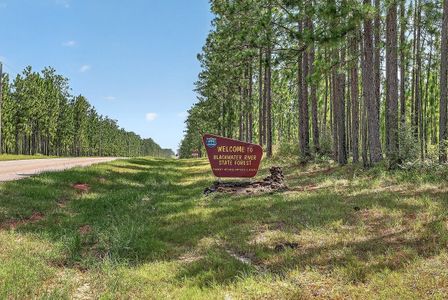 Yellow River Plantation by Lennar in Laurel Hill - image