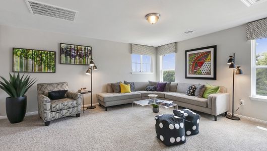 Lively Ranch by D.R. Horton in Georgetown - photo 71 71