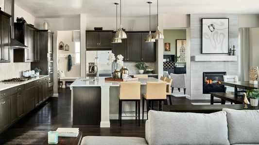 Trailstone Destination Collection by Taylor Morrison in Arvada - photo 61 61