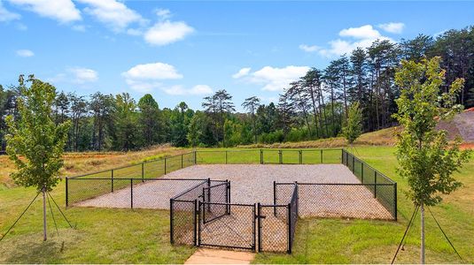 Spring Park by Lennar in Travelers Rest - image