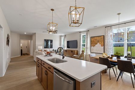 Renaissance at White Oak by Mungo Homes in Garner - photo 60 60