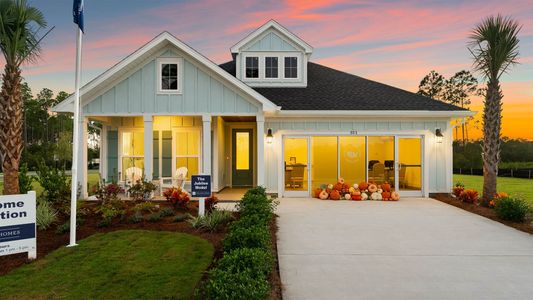 Breakfast Point East Phase II by D.R. Horton in Panama City Beach - image