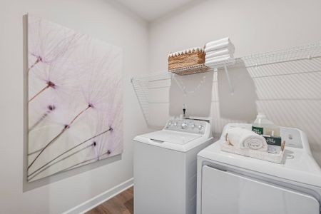 Mews at Holding Village by Tri Pointe Homes in Wake Forest - photo 117 117