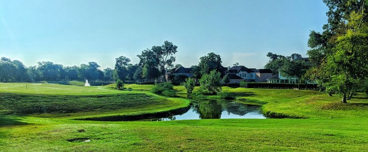 Sienna 65' Homesites by David Weekley Homes in Missouri City - image 2