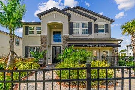 Chapel Crossings by M/I Homes in Wesley Chapel - photo 51 51