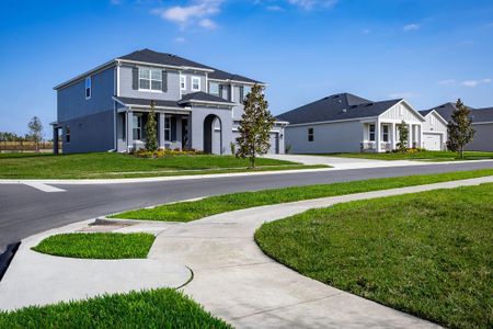 Wolf Lake Ranch by M/I Homes in Apopka - photo 30 30