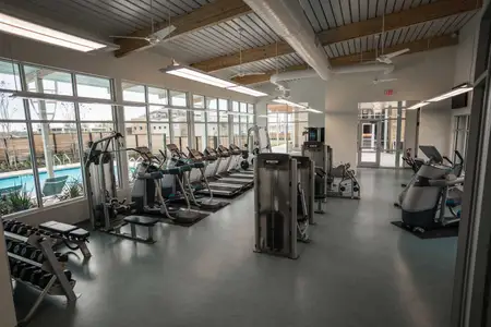 Meridiana by Highland Homes in Arcola - image 10